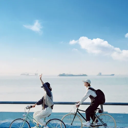 5bcbec8c9060ca4d781080d87d37ddb75e082e0a30ba6c-4Ncrb3_fw658webp