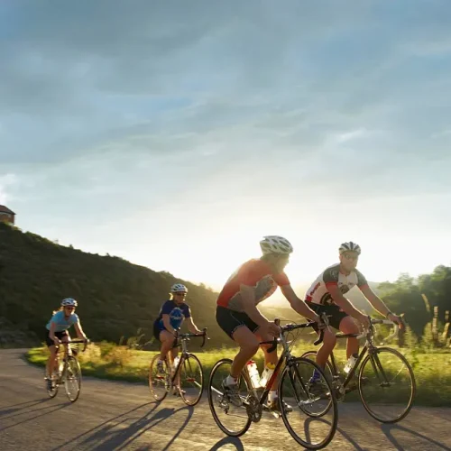 c0cf0ec731e3d2bc18e7ce11e8ee331931e947d65436b-sH4UnU_fw658webp