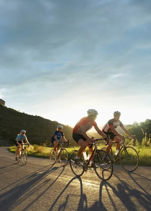 c0cf0ec731e3d2bc18e7ce11e8ee331931e947d65436b-sH4UnU_fw658webp